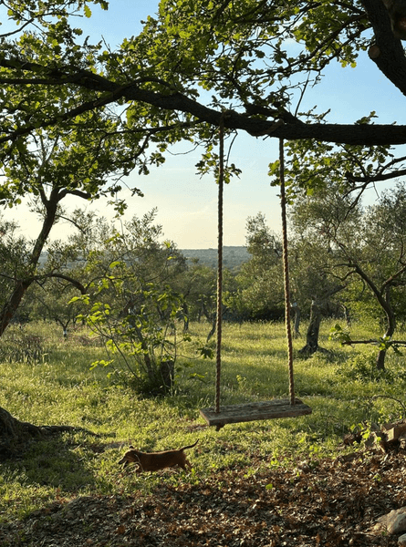 Гойдалка Гойдалка в саду